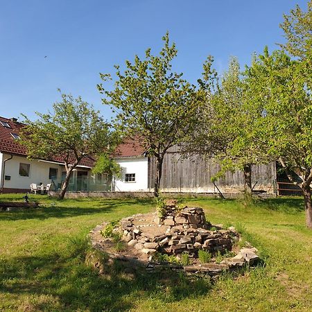 Die Alm in Schöllbüchl Sankt Martin  Exterior foto